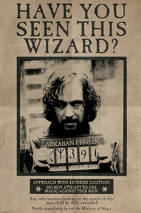 Poster: Harry Potter Have You Seen This Wizard | Odin's Place