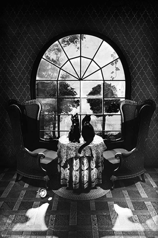 Poster: See a Skull? | Odin's Place