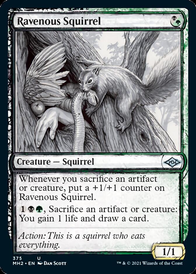 Ravenous Squirrel (Sketch) [Modern Horizons 2] | Odin's Place