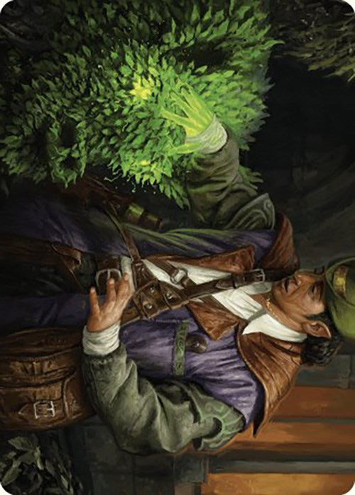 Hedge Whisperer Art Card [Murders at Karlov Manor Art Series] | Odin's Place