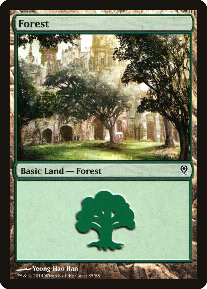 Forest (85) [Duel Decks: Jace vs. Vraska] | Odin's Place