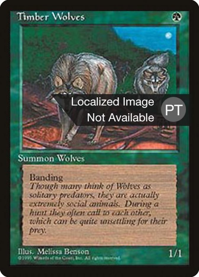 Timber Wolves [Fourth Edition (Foreign Black Border)] | Odin's Place