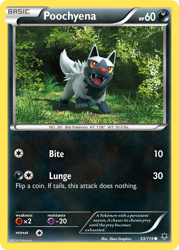 Poochyena (53/119) [XY: Phantom Forces] | Odin's Place