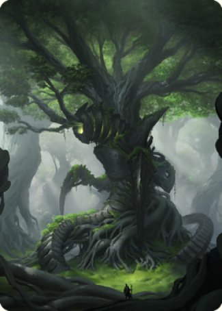 Forest Art Card [The Brothers' War Art Series] | Odin's Place