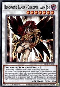 Blackwing Tamer - Obsidian Hawk Joe [LDS2-EN042] Common | Odin's Place