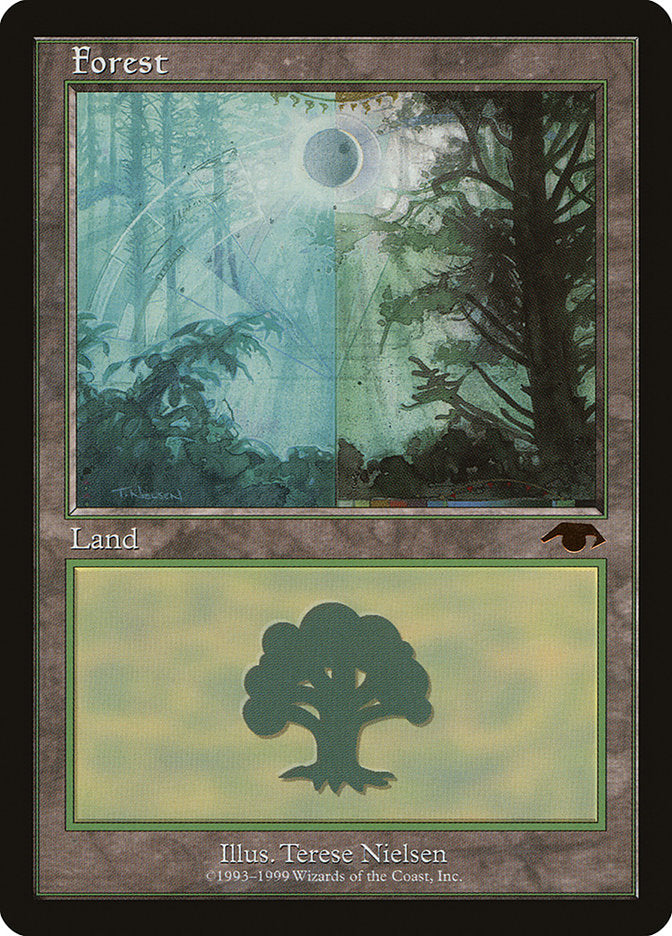 Forest [Guru] | Odin's Place