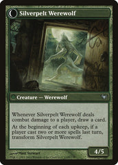Lambholt Elder // Silverpelt Werewolf [Dark Ascension] | Odin's Place