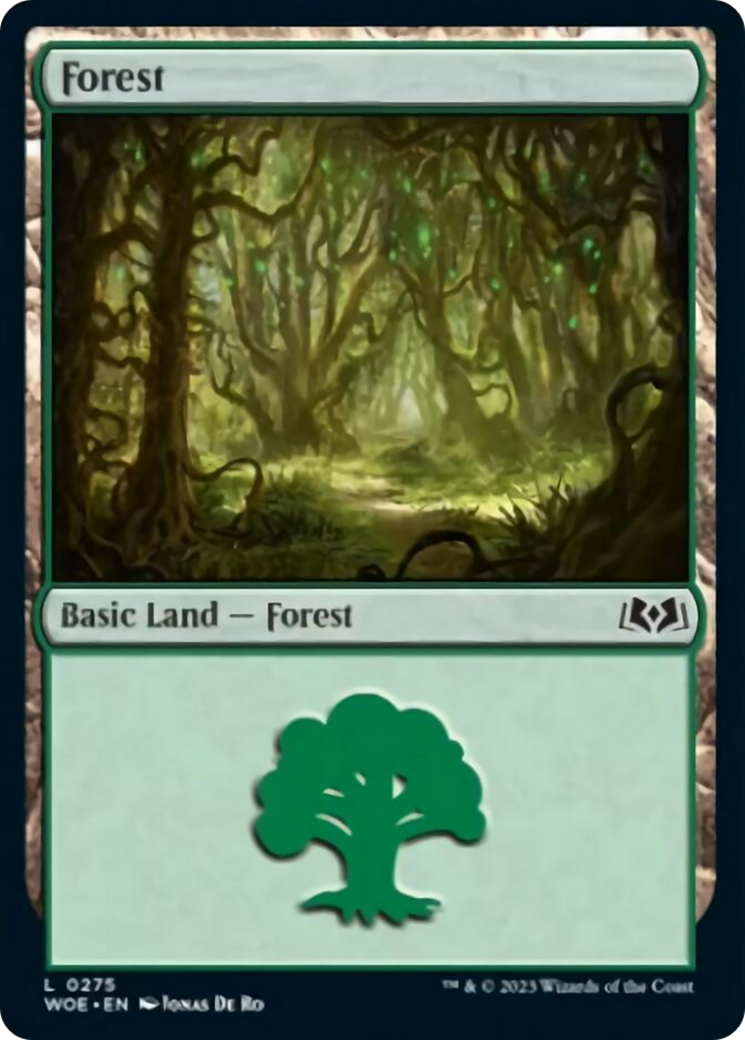 Forest (0275) [Wilds of Eldraine] | Odin's Place