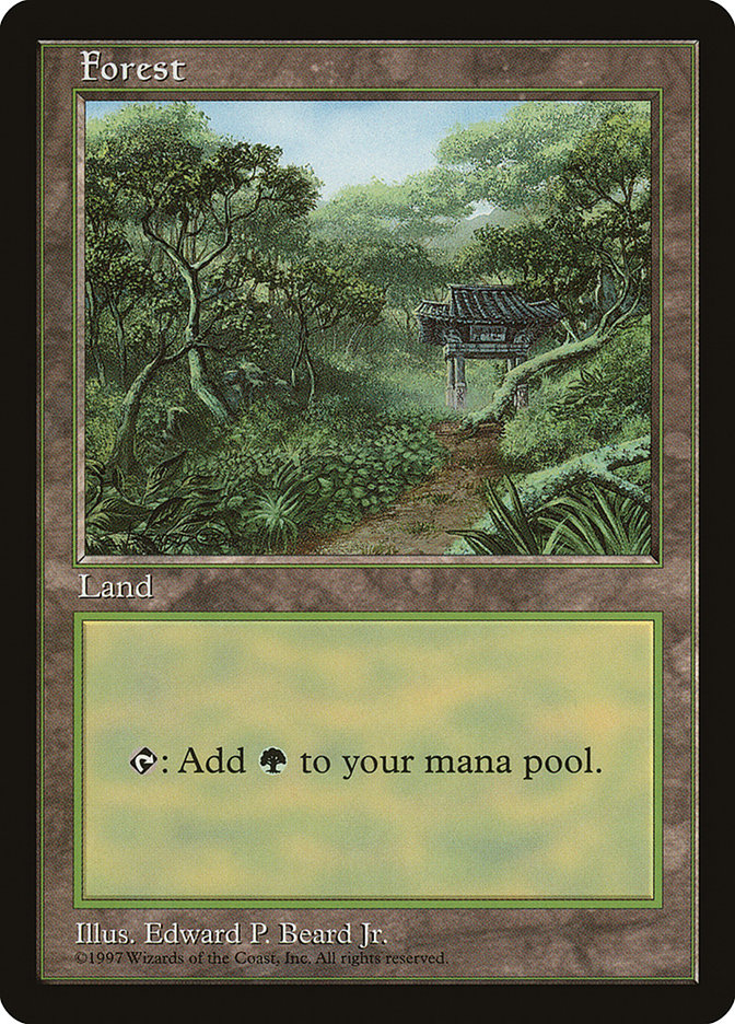 Forest (11) [Asia Pacific Land Program] | Odin's Place