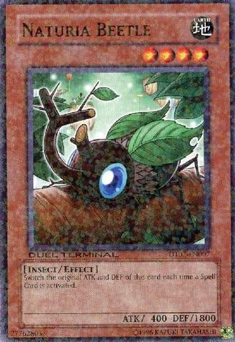 Naturia Beetle [DT02-EN007] Common | Odin's Place