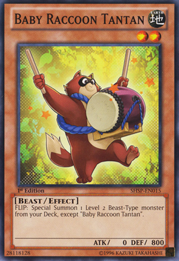 Baby Raccoon Tantan [SHSP-EN015] Common | Odin's Place