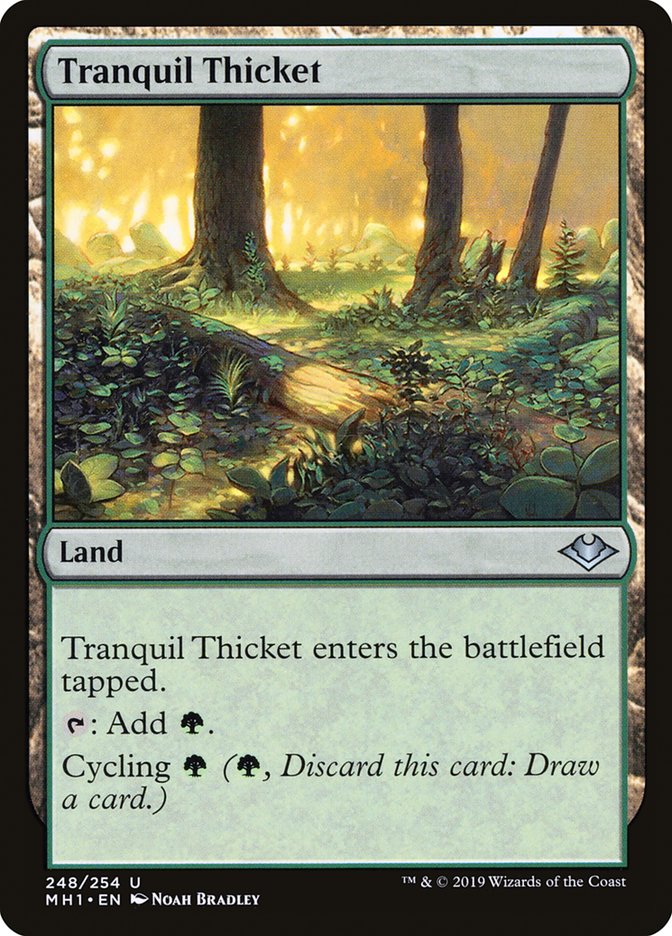 Tranquil Thicket (248) [Modern Horizons] | Odin's Place