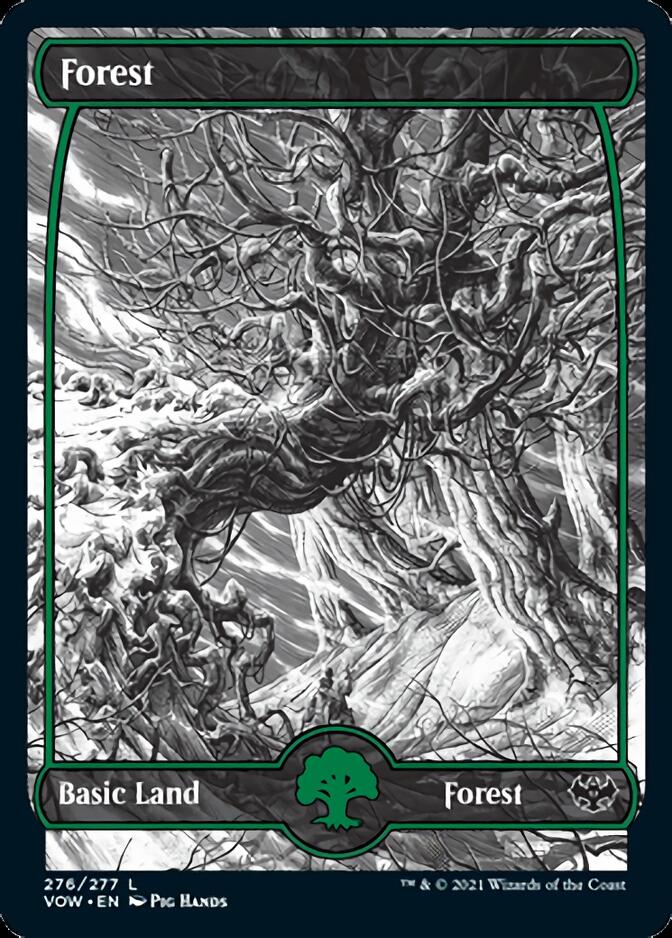 Forest (276) [Innistrad: Crimson Vow] | Odin's Place