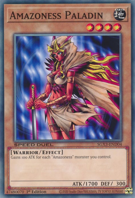 Amazoness Paladin [SGX3-END04] Common | Odin's Place