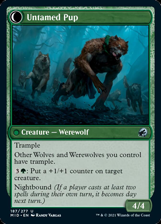 Hound Tamer // Untamed Pup [Innistrad: Midnight Hunt] | Odin's Place