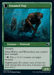 Hound Tamer // Untamed Pup [Innistrad: Midnight Hunt] | Odin's Place