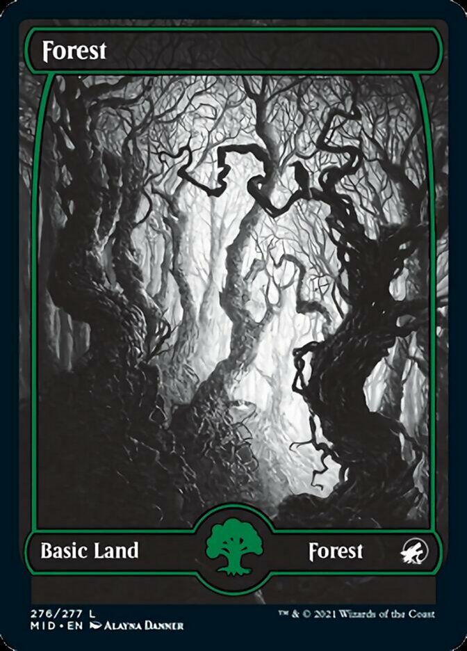 Forest (276) [Innistrad: Midnight Hunt] | Odin's Place