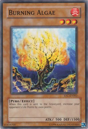 Burning Algae [IOC-EN062] Common | Odin's Place
