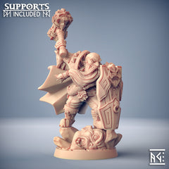 Dragon's Lair Printed Mini: Dwarven Defenders Set | Odin's Place