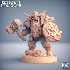 Dragon's Lair Printed Mini: Dwarven Defenders Set | Odin's Place