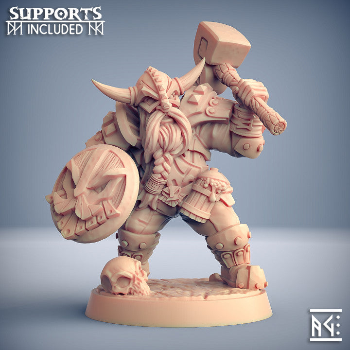 Dragon's Lair Printed Mini: Dwarven Defenders Set | Odin's Place
