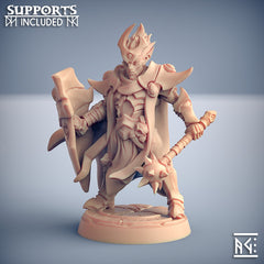 Dragon's Lair Printed Mini: Ashen Alfar Inquisitors Set | Odin's Place