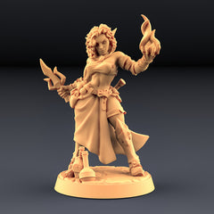 Dragon's Lair Printed Mini: Troubles in Taverns Set | Odin's Place