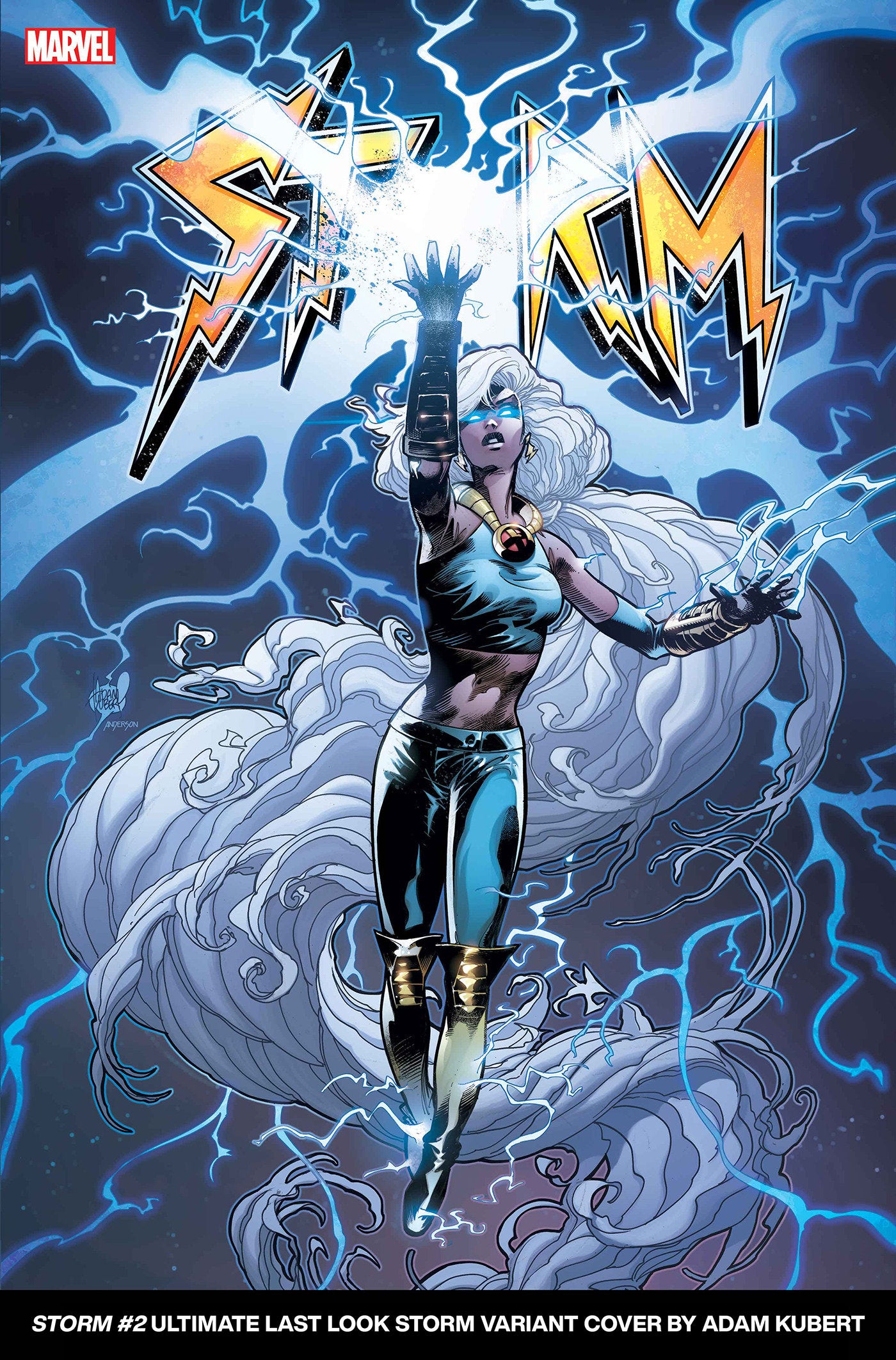 Storm 2 Adam Kubert Ultimate Last Look Variant | Odin's Place