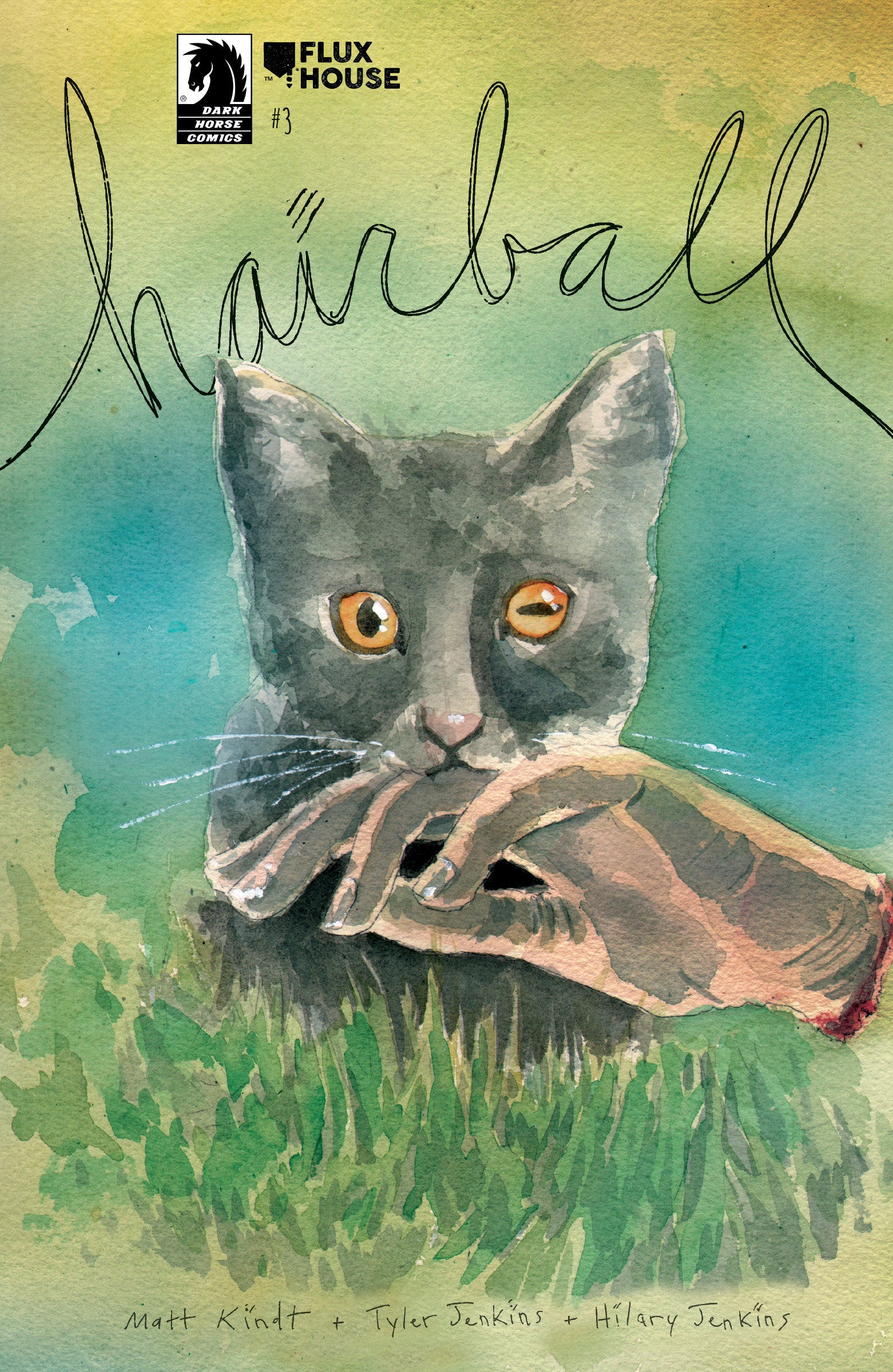 Hairball #3 (Cover A) (Matt Kindt) | Odin's Place