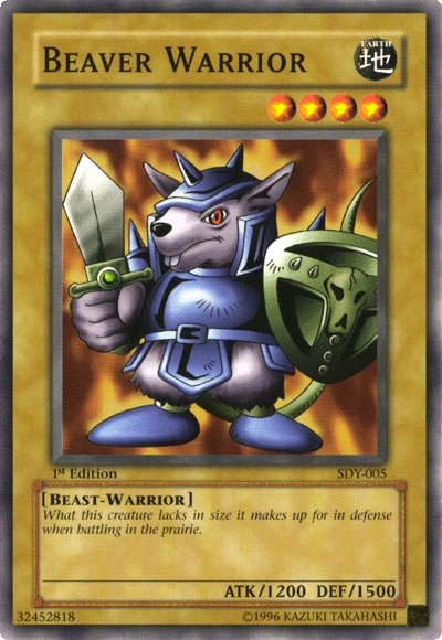 Beaver Warrior [SDY-005] Common | Odin's Place