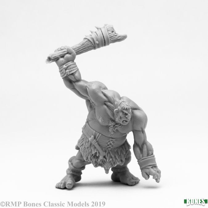 Reaper Bones: Hill Giant Lowland Warrior | Odin's Place