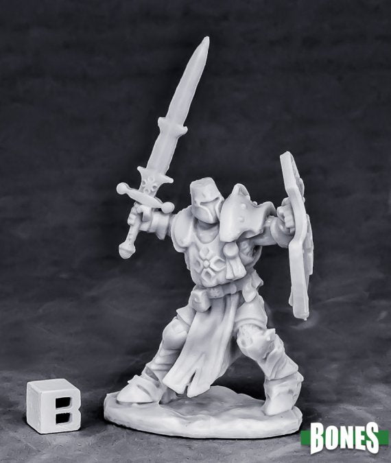 Reaper Bones: Human Paladin Champion | Odin's Place