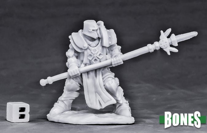 Reaper Bones: Human Paladin Defender | Odin's Place