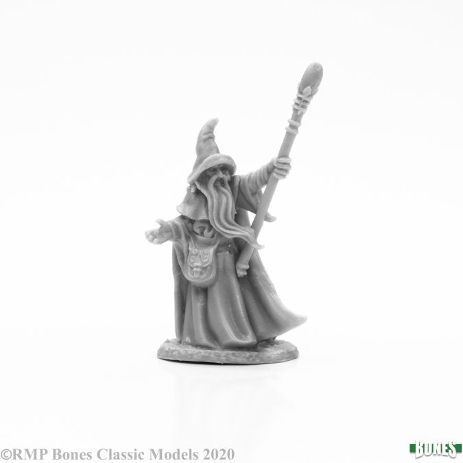 Reaper Bones: Human Wizard, Arakus | Odin's Place