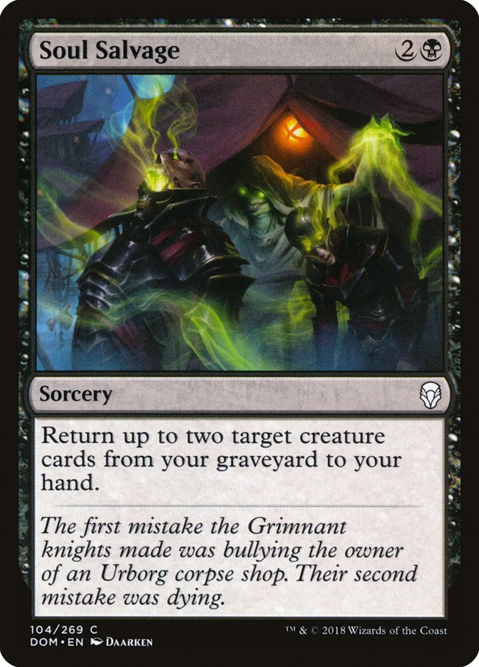 Soul Salvage (104) [Dominaria] | Odin's Place