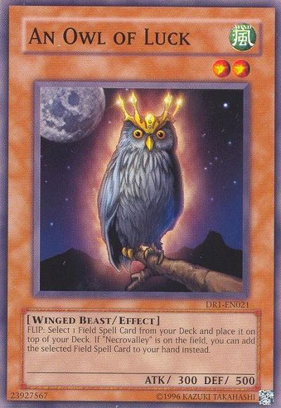 An Owl of Luck [DR1-EN021] Common | Odin's Place