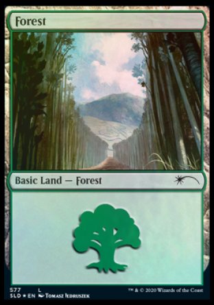 Forest (Walls) (577) [Secret Lair Drop Promos] | Odin's Place