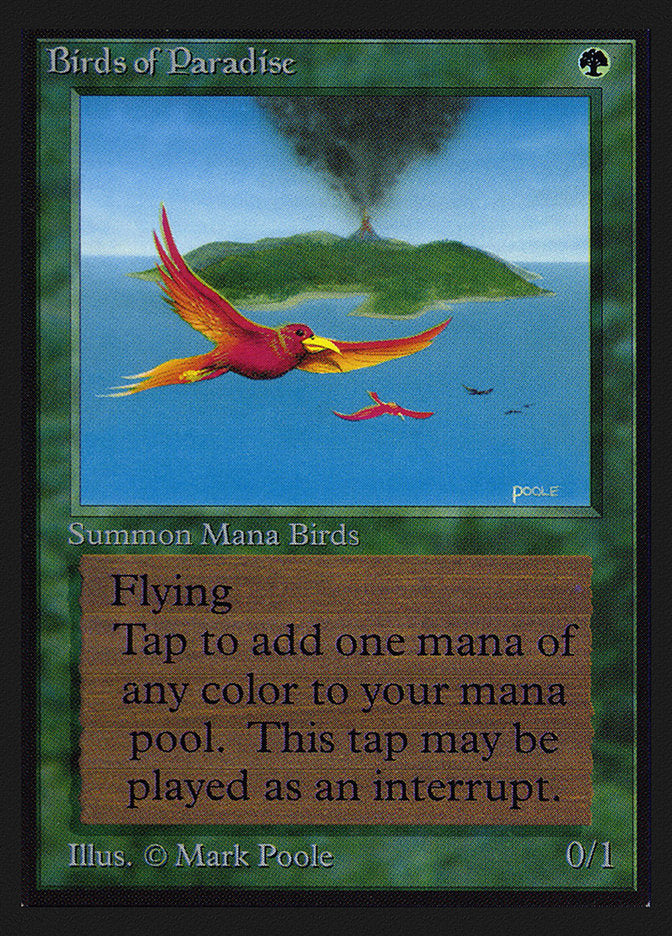 Birds of Paradise [International Collectors' Edition] | Odin's Place