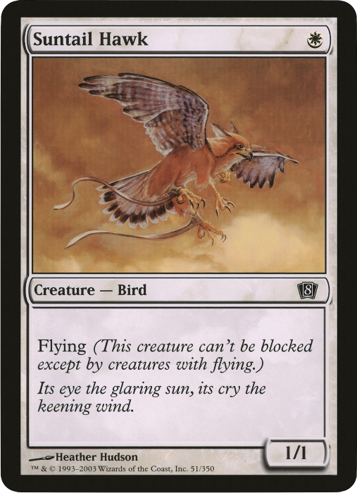 Suntail Hawk (Oversized) [Eighth Edition Box Topper] | Odin's Place