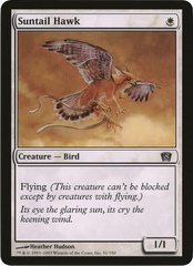 Suntail Hawk (Oversized) [Eighth Edition Box Topper] | Odin's Place