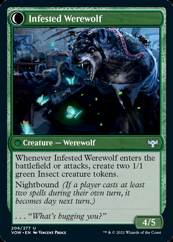 Infestation Expert // Infested Werewolf [Innistrad: Crimson Vow] | Odin's Place