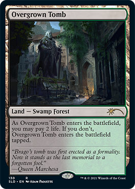 Overgrown Tomb [Secret Lair Drop Series] | Odin's Place