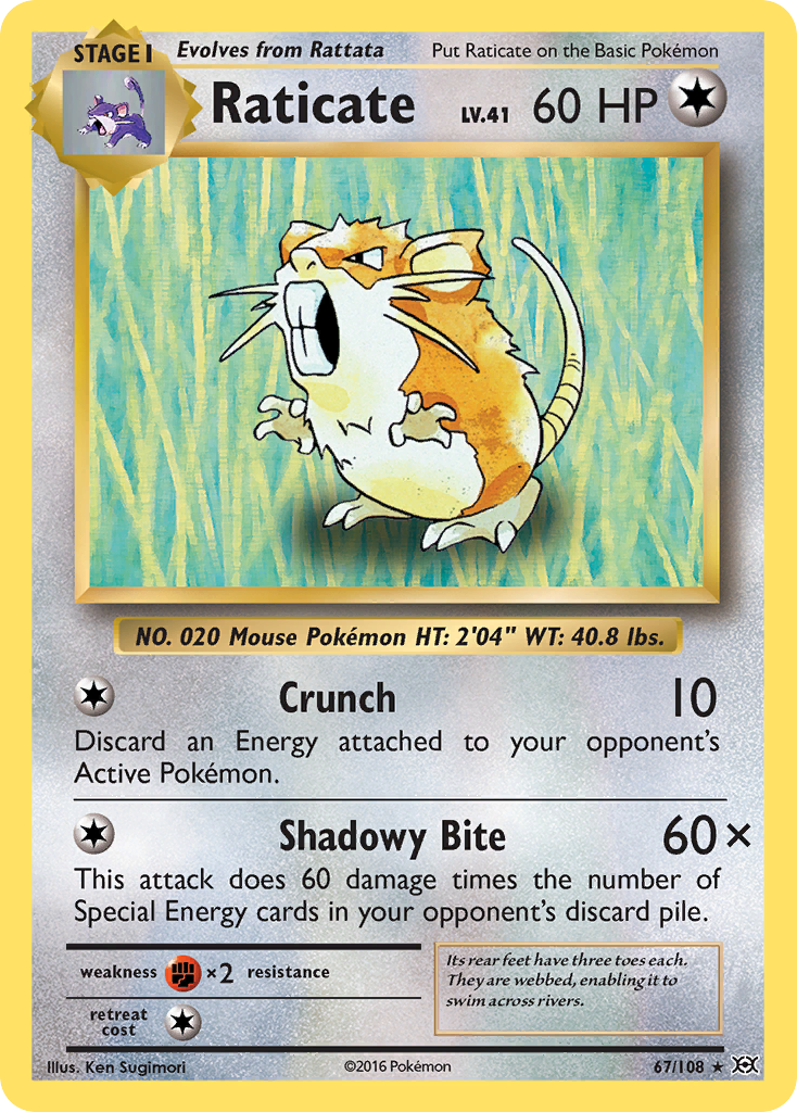Raticate (67/108) [XY: Evolutions] | Odin's Place