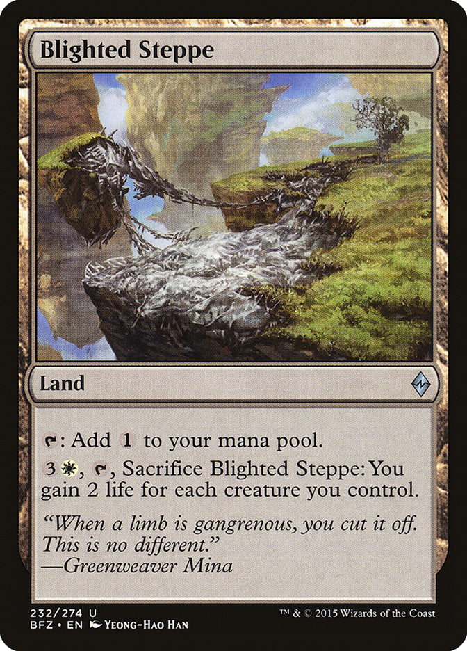 Blighted Steppe (232) [Battle for Zendikar] | Odin's Place