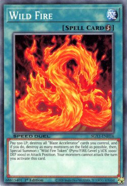 Wild Fire [SGX1-ENH16] Common | Odin's Place