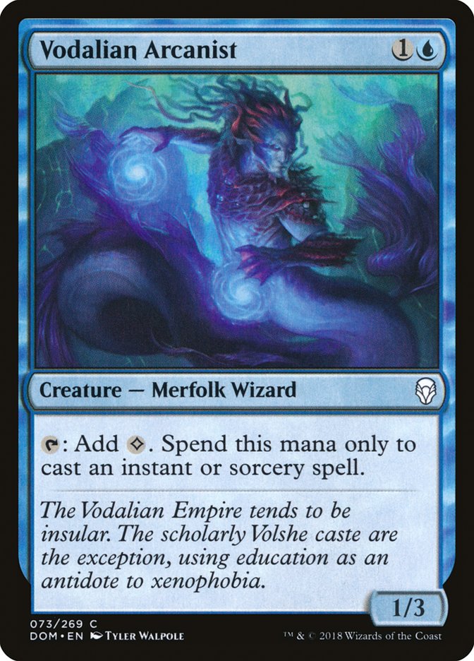 Vodalian Arcanist (73) [Dominaria] | Odin's Place
