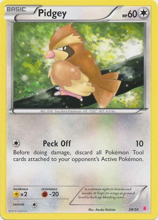 Pidgey (29/30) [XY: Trainer Kit 1 - Wigglytuff] | Odin's Place