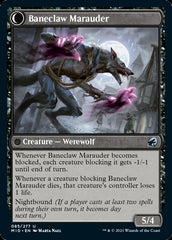 Baneblade Scoundrel // Baneclaw Marauder [Innistrad: Midnight Hunt] | Odin's Place