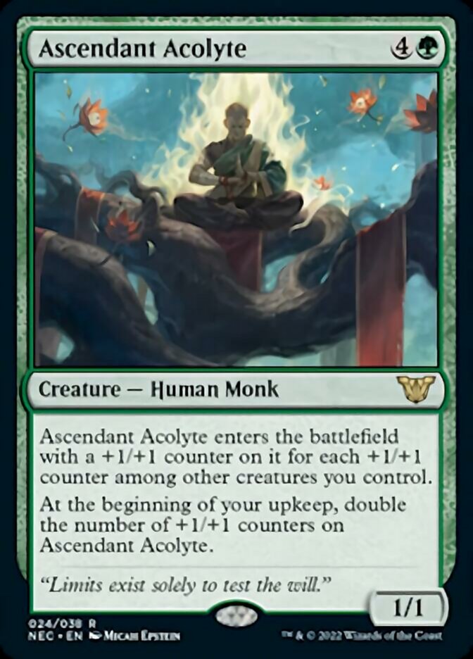 Ascendant Acolyte [Kamigawa: Neon Dynasty Commander] | Odin's Place