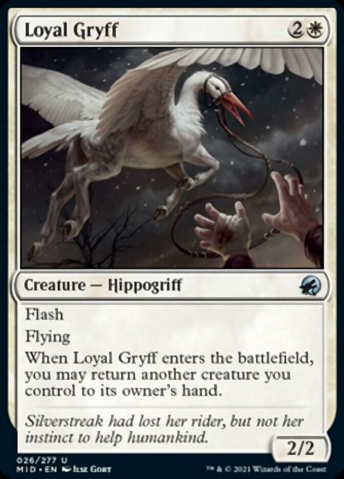 Loyal Gryff [Innistrad: Midnight Hunt] | Odin's Place